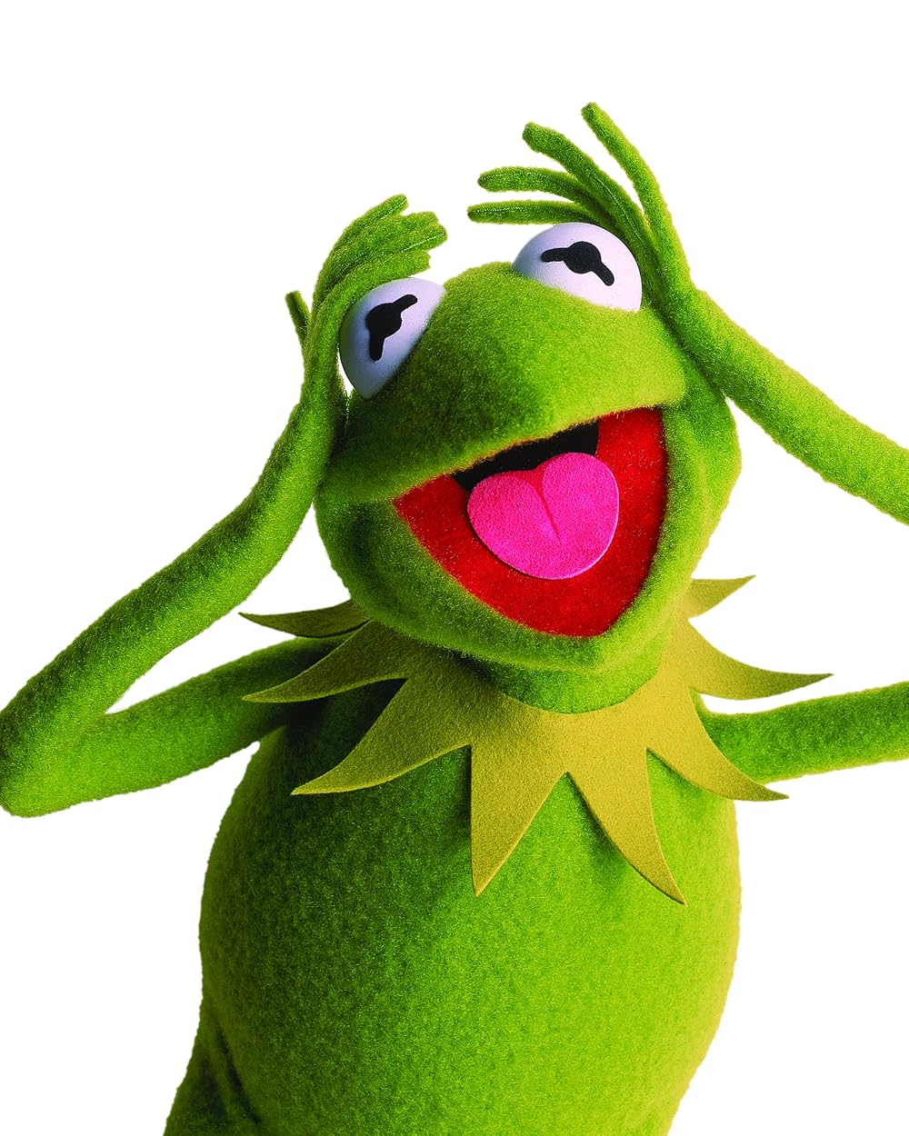 Kermit the Frog with his hands on his head, mouth open